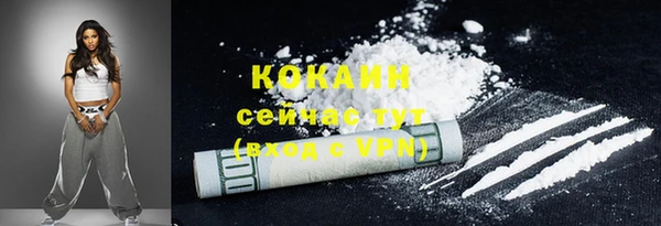 дмт Богданович