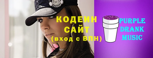 дмт Богданович