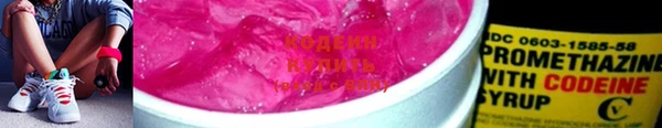 дмт Богданович