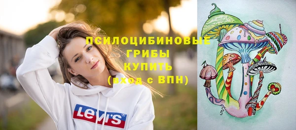 дмт Богданович