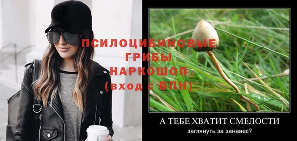 дмт Богданович