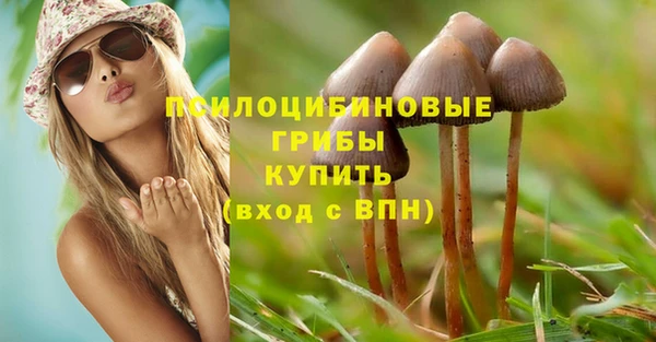 a pvp Богородицк