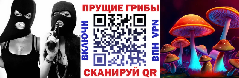 купить   Кочубеевское  Галлюциногенные грибы Magic Shrooms 